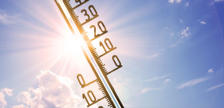 hitze sommer