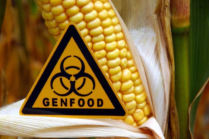 Gentechnik Lebensmittel Umfrage