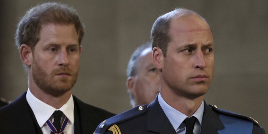 Prinz William Harry