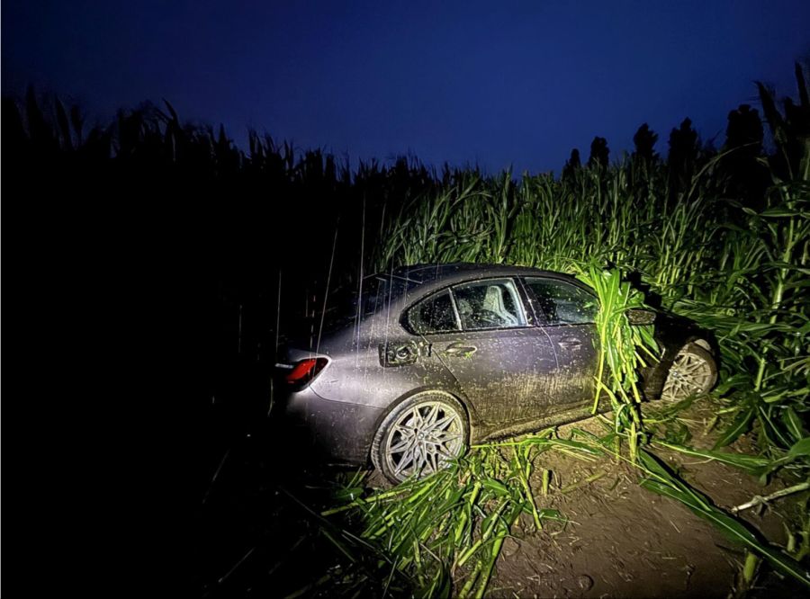 bmw im maisfeld