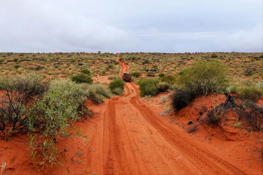 Carolina Wilga überlebte zwölf Tage im australischen Outback. (Symbolbild)
