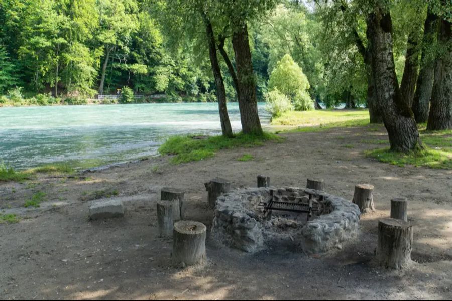 Eichholz