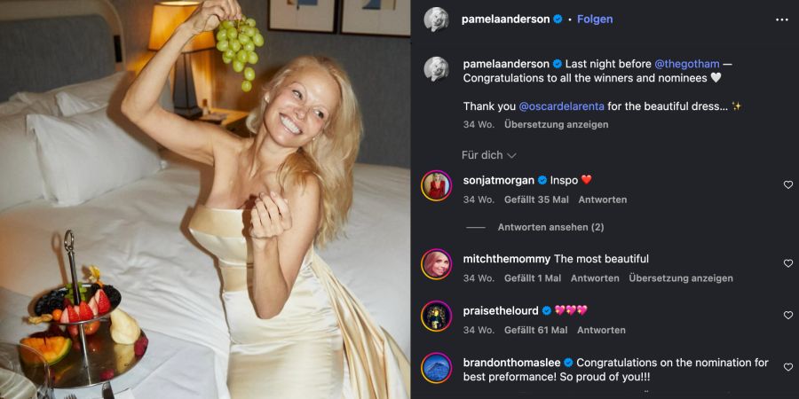 pamela anderson
