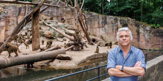 paviane zoo-direktor
