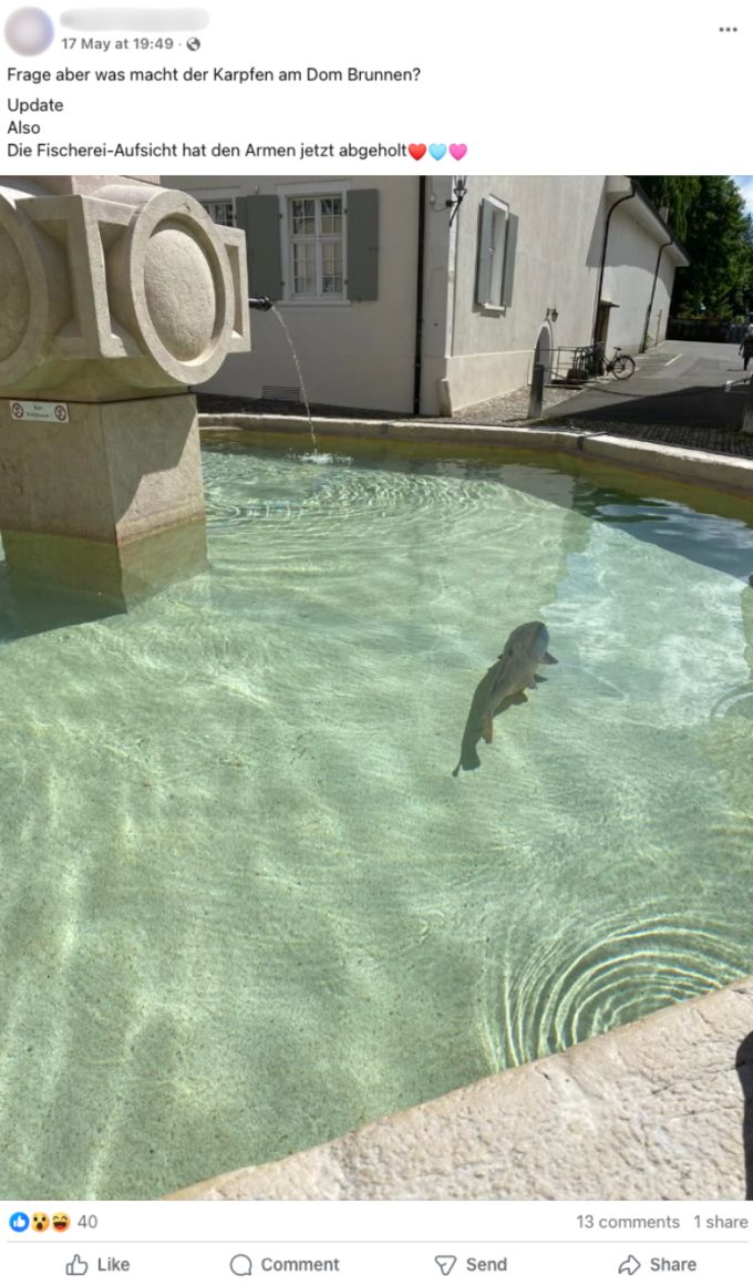 Auf dem Arlesheimer Domplatz wurde ein Karpfen im Brunnen gesichtet. karpfen