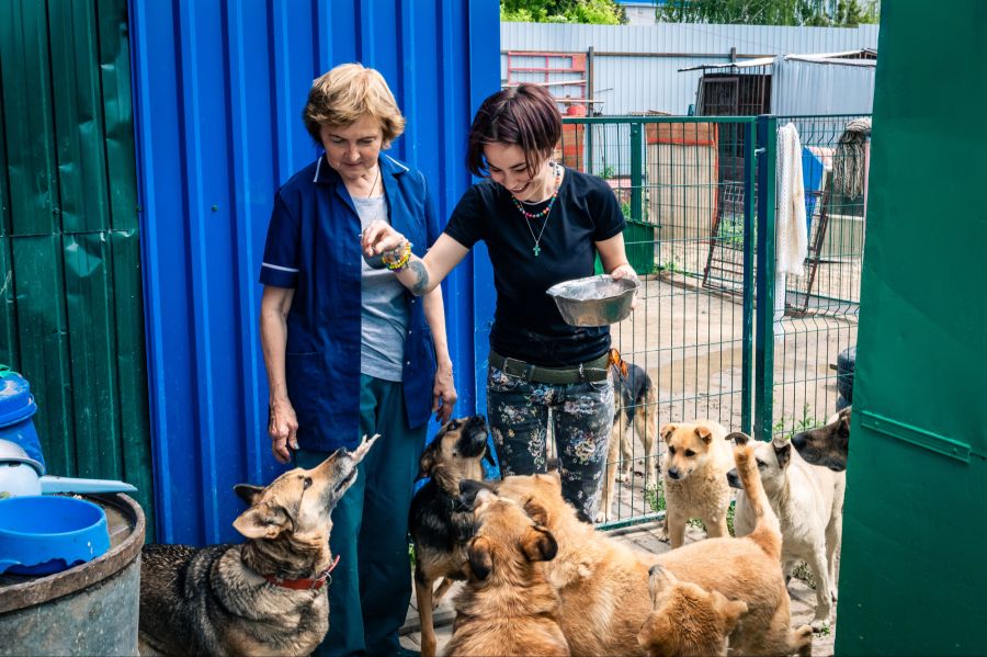 Hunde Tierheim Pflegerin Freiwillige