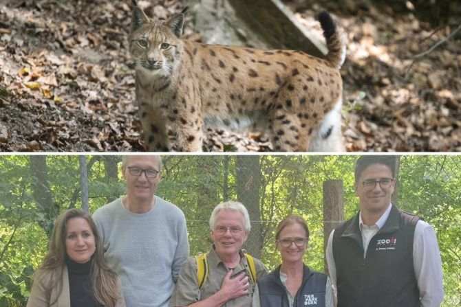 Tierpark Bern Artenschutz