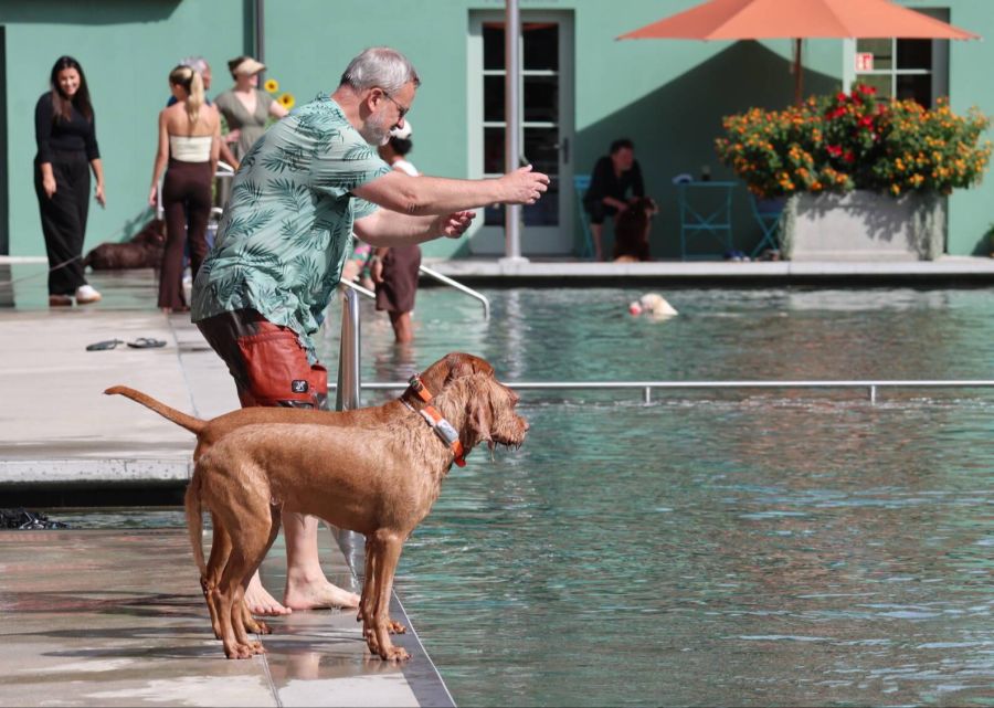 Ajax und Meta genossen mit Annette und Lars Oeltjen den Abstecher in die Badi, auch wenn das Herrchen anfänglich ein wenig Überzeugungsarbeit leisten musste, bis die Vierbeiner ins Wasser sprangen.