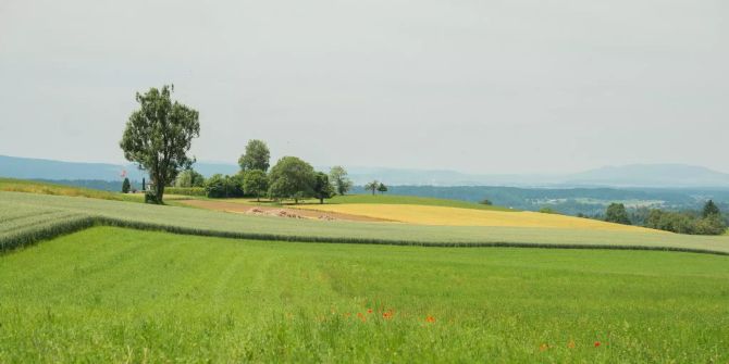 Fehraltorf ZH