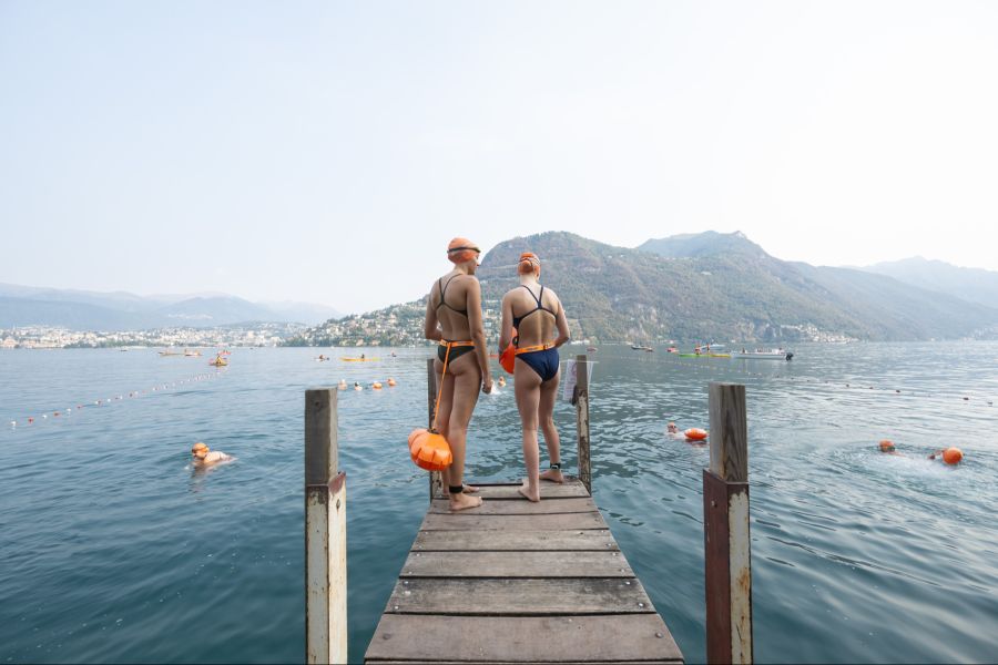 Schwimmer merken von der Qualle kaum etwas – sie ist nicht gefährlich und kaum sichtbar. (Luganersee)
