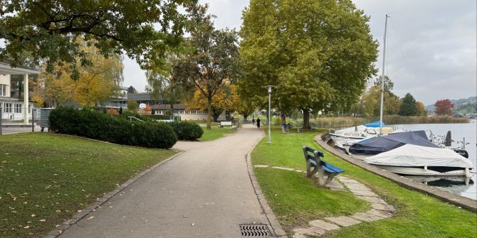 Bezirk Küssnacht