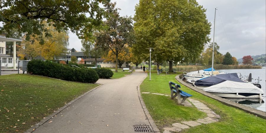 Bezirk Küssnacht