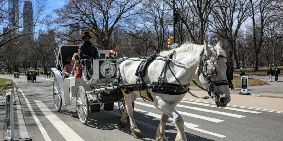 ARCHIV - Eine Pferdekutsche in New York. Foto: Bianca Otero/ZUMA Press Wire/dpa