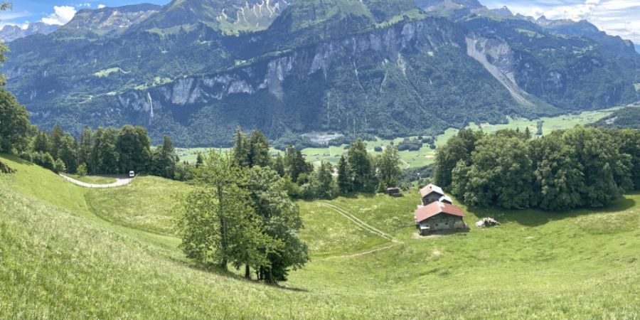 Durch die regelmässige Mahd und Beweidung bleiben die steilen Flächen in der Schwendi in Brienzwiler offen und bilden wertvolle Lebensräume für eine artenreiche Flora und Fauna.