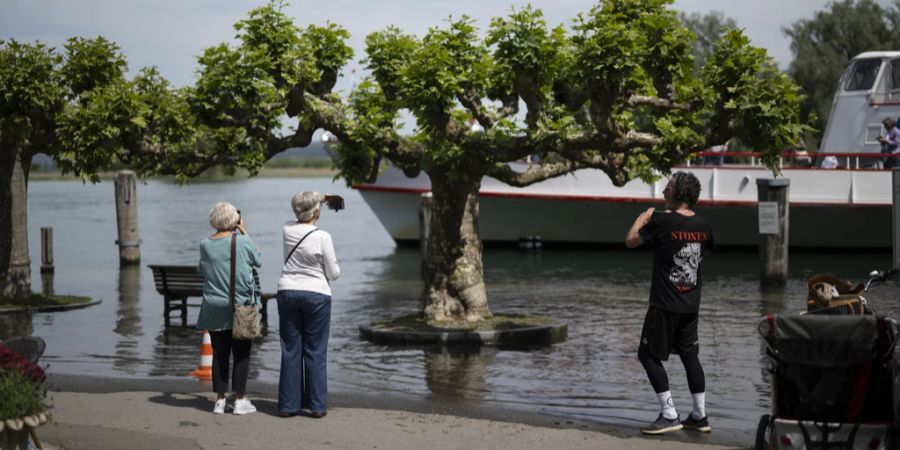 Bodensee Gottlieben Hochwasser Wetter