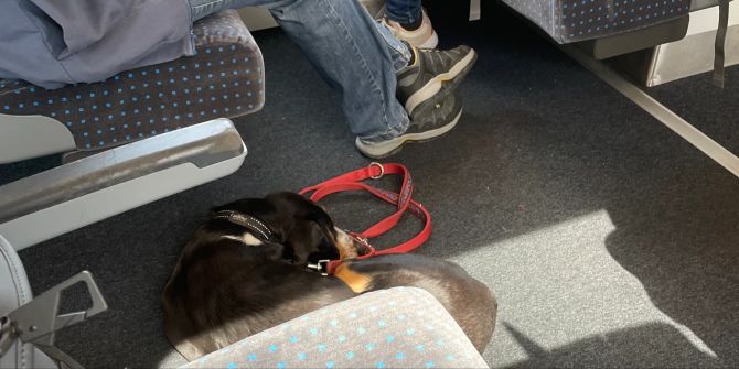 SBB Hund