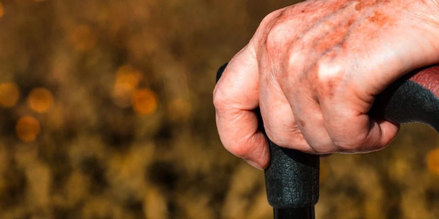 Mittlerweile ist klar, dass der Einsatz von Pestiziden in der Landwirtschaft zu der Entstehung von Parkinsons bei Bauern beiträgt. (Symbolbild)