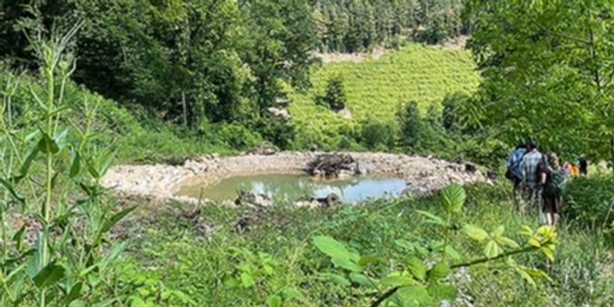 Liestal BL - Vier neue Weiher für den bedrohten Glögglifrosch