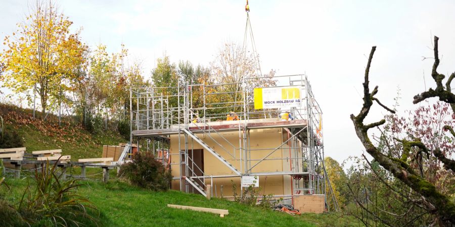 Das Modulholzhaus für das Flugtraining im Walter Zoo wurde eingeflogen