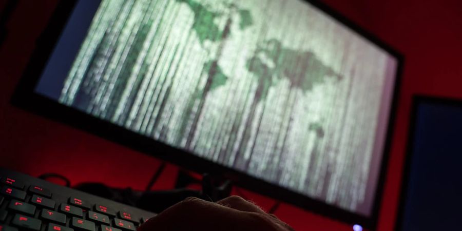 ILLUSTRATION - Polizeibeamte sehen derzeit die Internetkriminalität und Finanzstraftaten weltweit als grösste Bedrohungen. Foto: Nicolas Armer/dpa