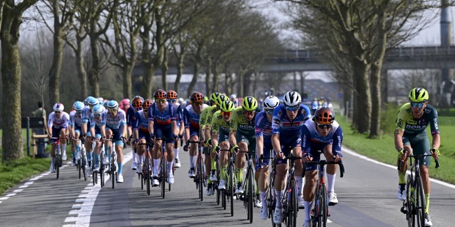 Das Fahrerfeld bei der 48. Classic Brügge-De Panne.