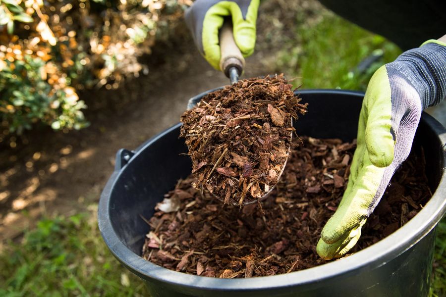 Rindenmulch Beete Wasser Boden