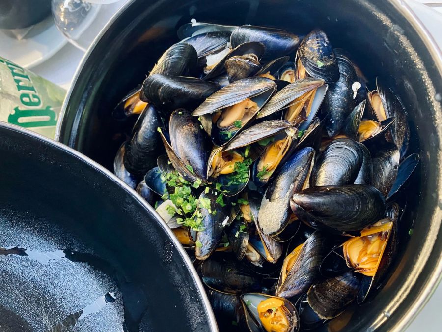 Miesmuscheln Kochen geöffnet Qualität