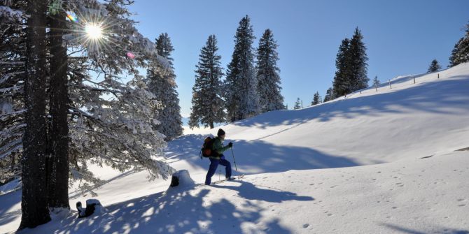 Schneetour auf der Rigi.