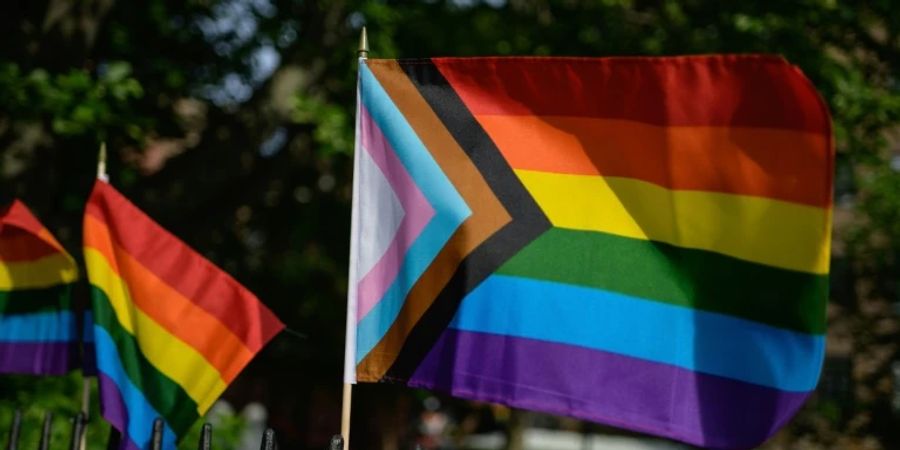 Fahnen der LGBTQ-Bewegung