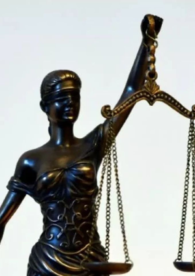 Justitia Umfragen Rechtsprofessoren