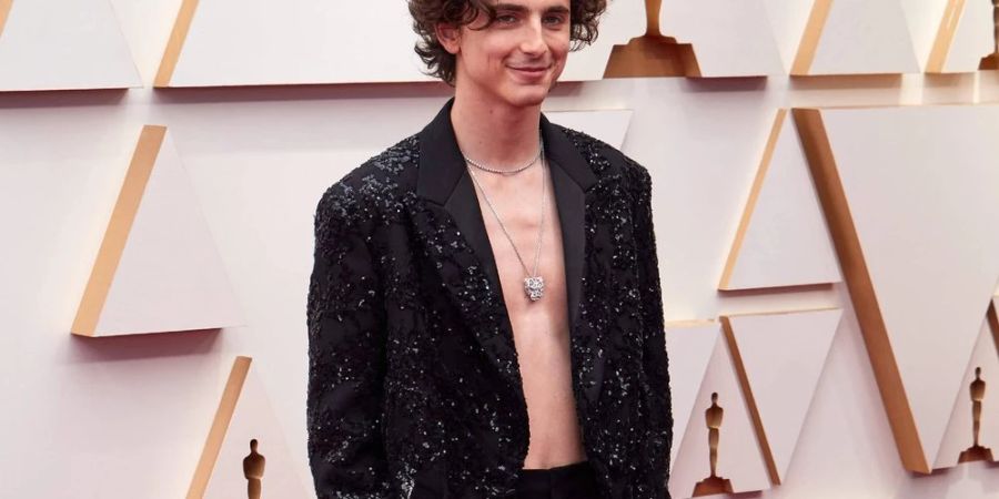 Timothée Chalamet bei der Oscarverleihung.