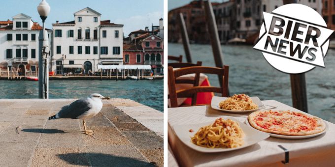 In der Not - Venedig-Touristen schiessen mit Wasserpistolen auf Möwen