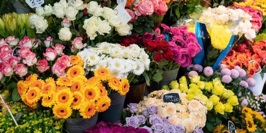 Schnittblumen in einem Blumenladen. Der Blumenstrauss zum Valentinstag wird in diesem Jahr deutlich teurer. Foto: Ole Spata/dpa