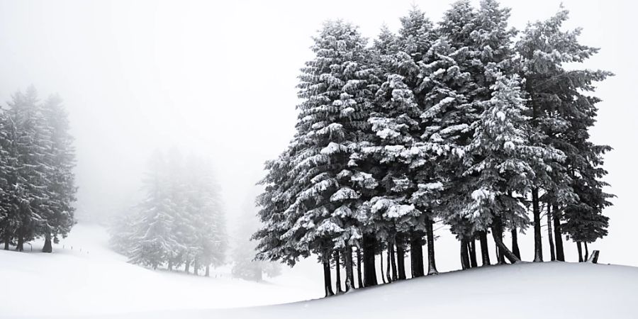 Im Februar noch einmal Schnee - nach einem warmen Januar. (Symbolbild)