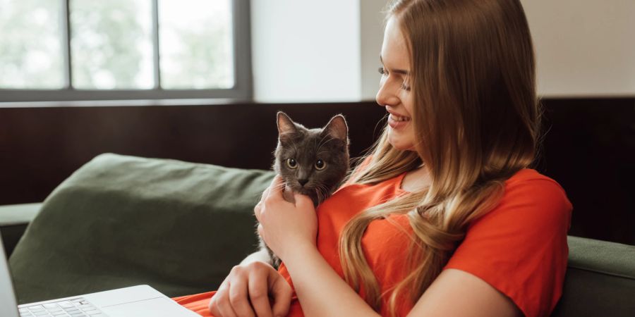 Frau mit Katze am Laptop