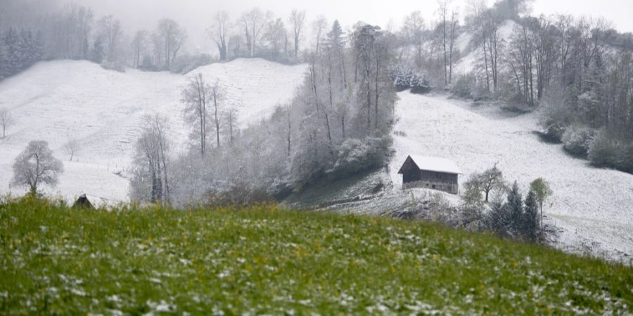 Zudem fällt auch die Schneefallgrenze rasant.