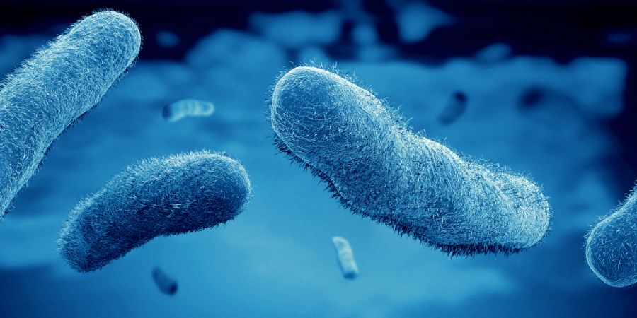 Nicht alle Bakterien sind schädlich. Es gibt viele gutartige Bakterien, die für unsere Gesundheit äusserst wichtig sind. Man findet diese in Probiotika.