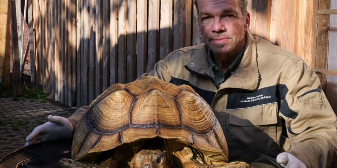 Christian Erdmann, Leiter des Wildtier- und Artenschutzzentrum bei Elmshorn, neben der toten Riesenschildkröte. Christian Erdmann mit Schildkröte