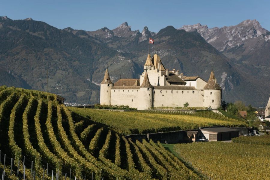 Chablais, Château d’Aigle