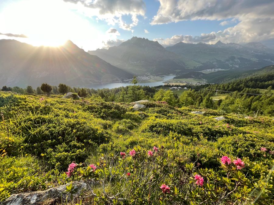 Die Aussicht von Alpetta.