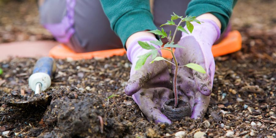 Gartenarbeit Handschuhe