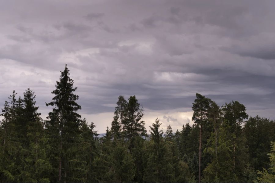 Am Silvester-Sonntag ziehen dann aber vielerorts Regenwolken auf und es wird nass.