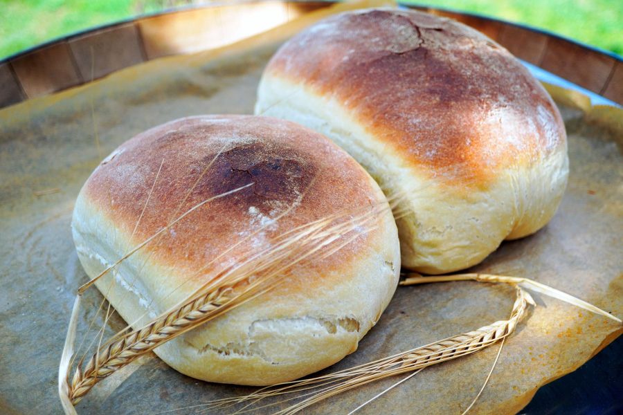 Weizen, Weizenbrot, gesund, Ernährung