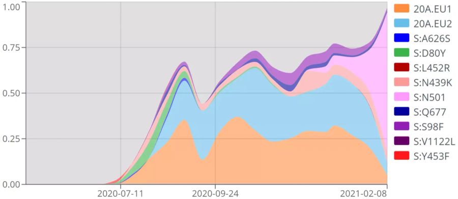 Die Anteile der verschiedenen Gruppen von Varianten des Coronavirus in der Schweiz. Bis in den Spätherbst waren vor allem die beiden 20A-Kladen dominant. Die Gruppe «S:N501» in Pink sind Varianten, welche die Mutation N501Y tragen, wie unter anderem die britische Variante. Grau sind nicht näher bestimmte Varianten.