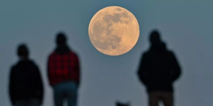 Beim sogenannten «Supermond» ist die Entfernung zwischen Mond und Erde geringer als sonst. Foto: Patrick Pleul/dpa-Zentralbild/dpa