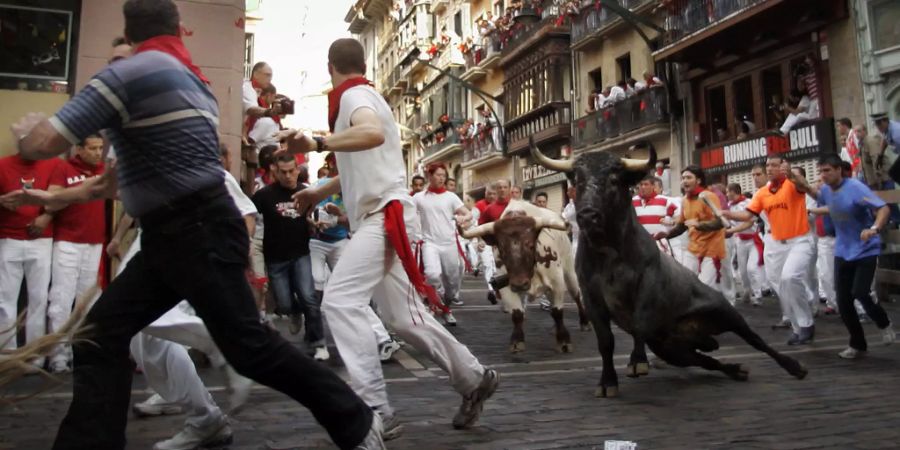 Stierlauf