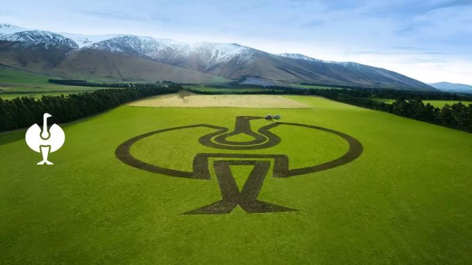 So in etwa könnte das Strausssenlogo im Feld aussehen. Farmers Cup