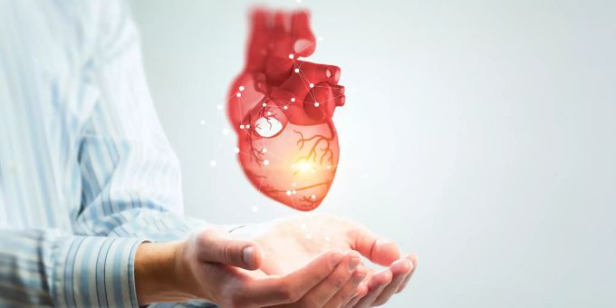 Hohes Cholesterin und Bluthochdruck sollte man zuliebe der Herz-Gesundheit vermeiden. Cholesterin Herz