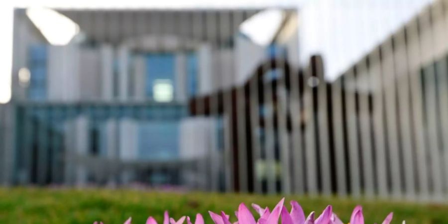 Blumen vor dem Kanzleramt