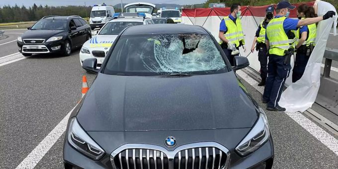 Eine Autolenkerin kollidierte auf der A1 im Aargau mit einem Reh, das sich auf die Autobahn verirrt hatte. Die 65-Jährige erlitt schwere Verletzungen und verstarb im Spital. Polizei